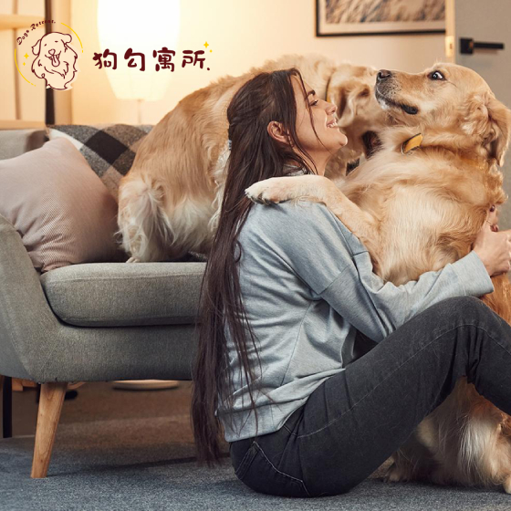 狗勾寓所-標速方案網站設計