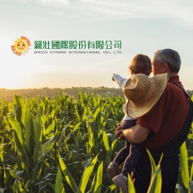 綠壯國際-標速方案網站設計