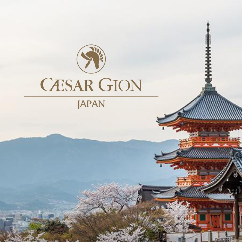 京都Gion Yasaka-標速方案網站設計
