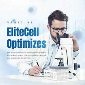 利加生醫-企業形象網站設計